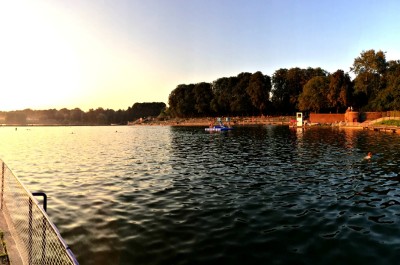 desktop-baeder-lp-stadtparksee-galerie-naturbelassenes-becken2